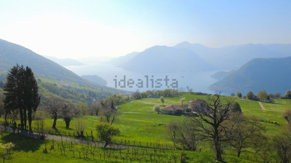 immagine annuncio 0 di 1
