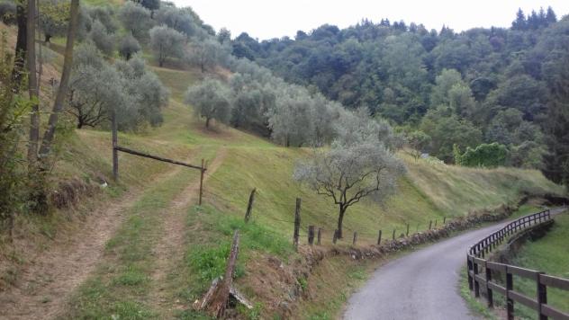 terreno edificabile in vendita a Sulzano
