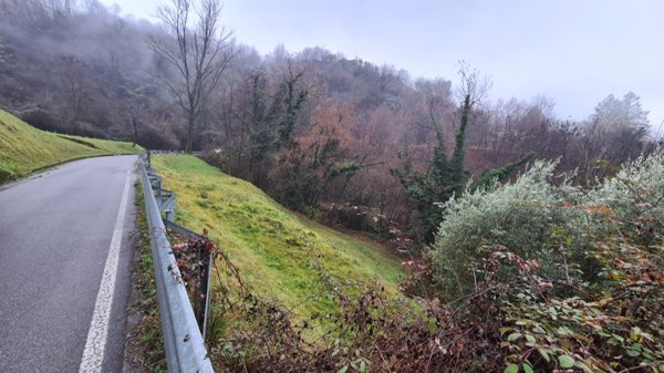 terreno agricolo in vendita a Sulzano