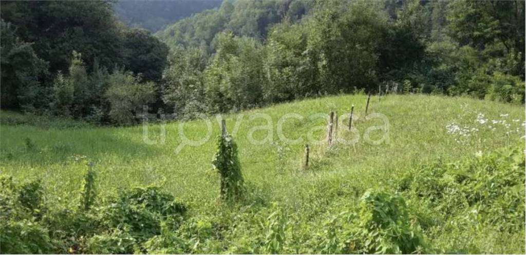 terreno agricolo in vendita a Tavernole sul Mella