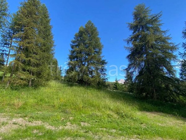 appartamento in vendita a Cesana Torinese in zona San Sicario Alto
