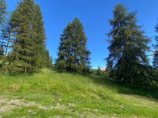 appartamento in vendita a Cesana Torinese in zona San Sicario Alto