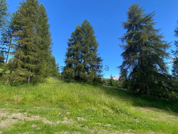 appartamento in vendita a Cesana Torinese in zona San Sicario Alto