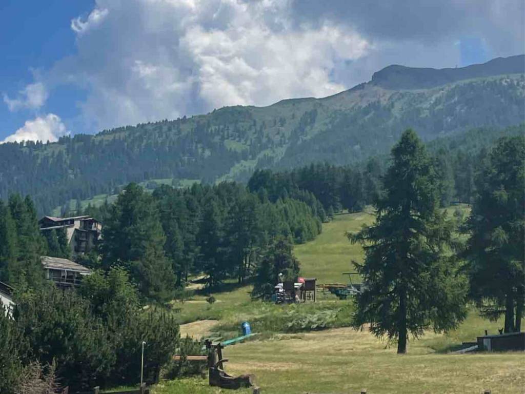 negozio in vendita a Cesana Torinese