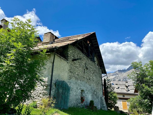 esavano in vendita a Cesana Torinese in zona Bousson