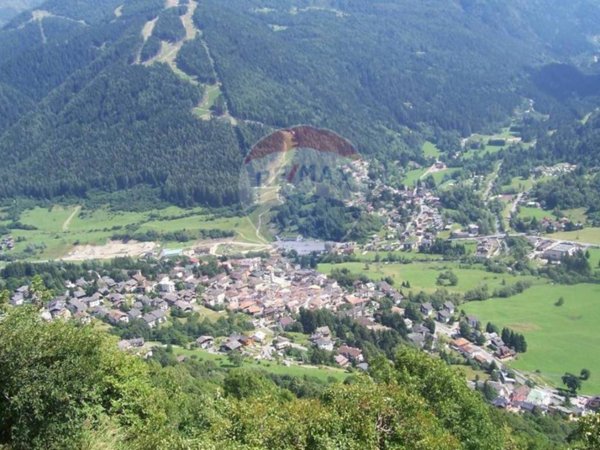 terreno agricolo in vendita a Temù