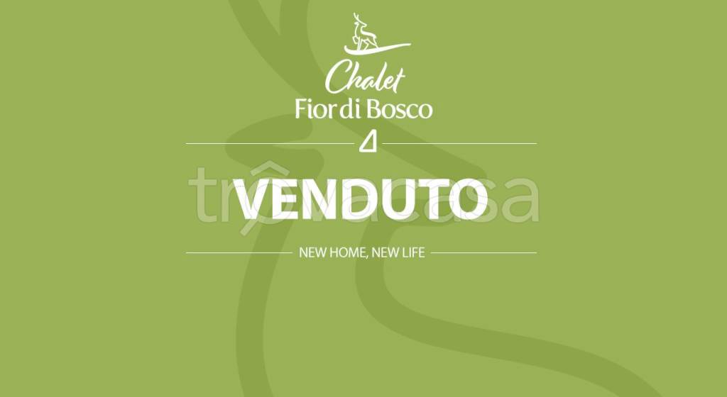 appartamento in vendita a Temù