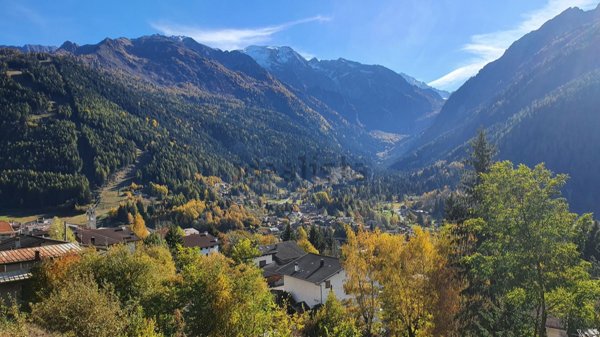 appartamento in vendita a Temù