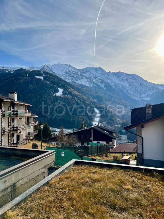 immagine annuncio 0 di 15