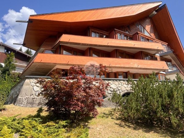 appartamento in vendita a Temù in zona Lecanù