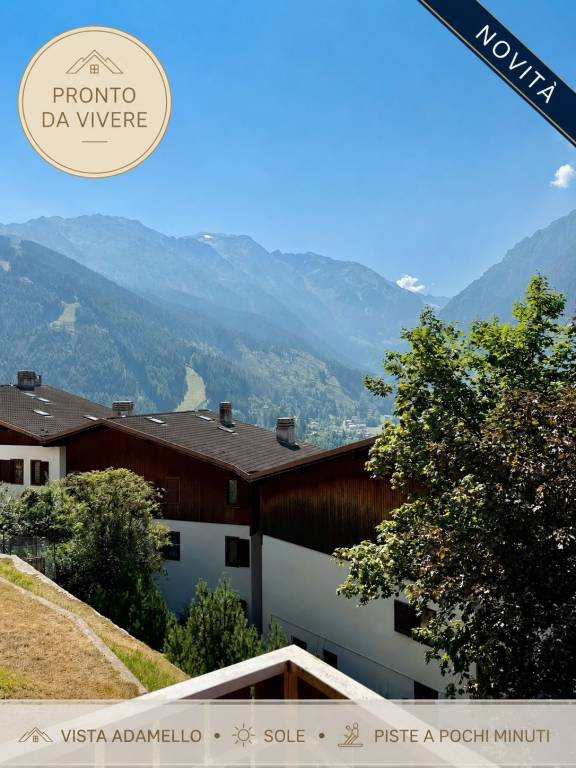 immagine annuncio 0 di 15