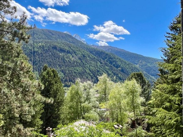appartamento in vendita a Temù in zona Lecanù