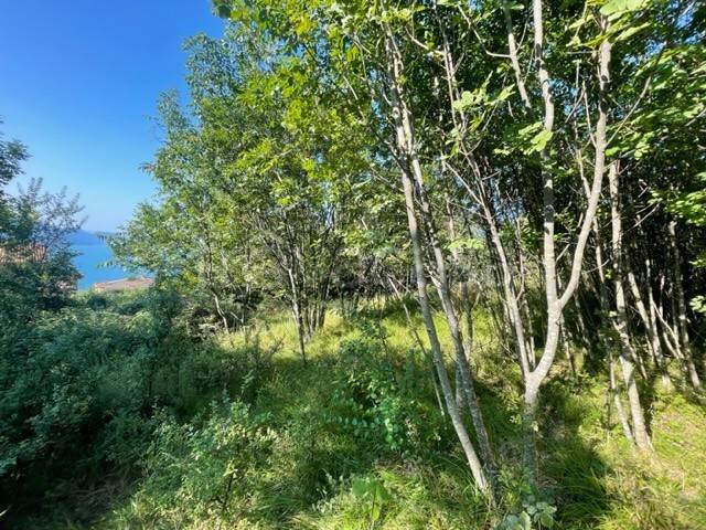 ufficio in vendita a Tignale