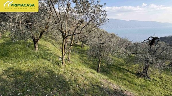 terreno agricolo in vendita a Tignale
