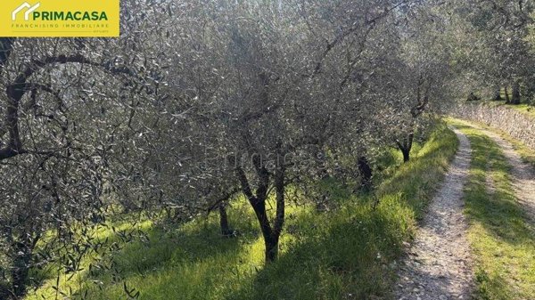 terreno agricolo in vendita a Tignale in zona Oldesio