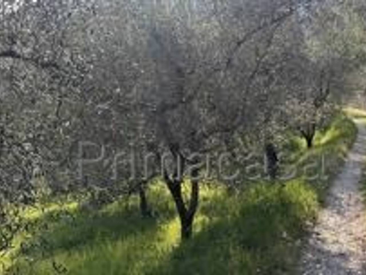 terreno agricolo in vendita a Tignale