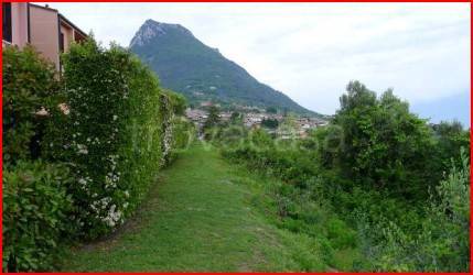 terreno agricolo in vendita a Toscolano-Maderno in zona Toscolano