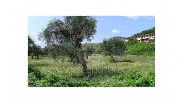 terreno agricolo in vendita a Toscolano-Maderno in zona Toscolano