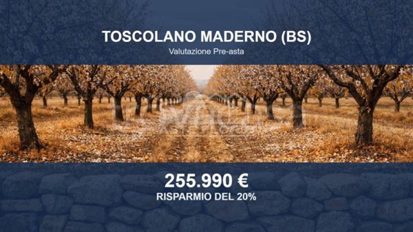 terreno agricolo in vendita a Toscolano-Maderno in zona Toscolano