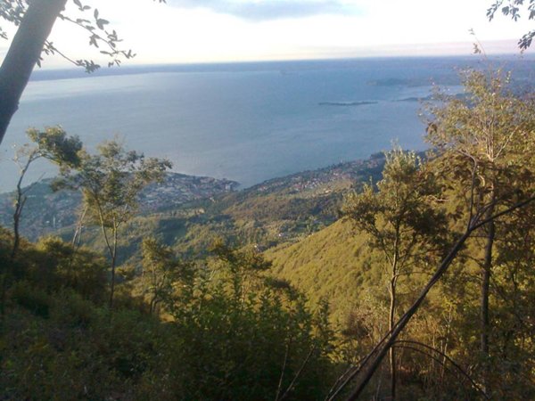terreno agricolo in vendita a Toscolano-Maderno in zona Maderno