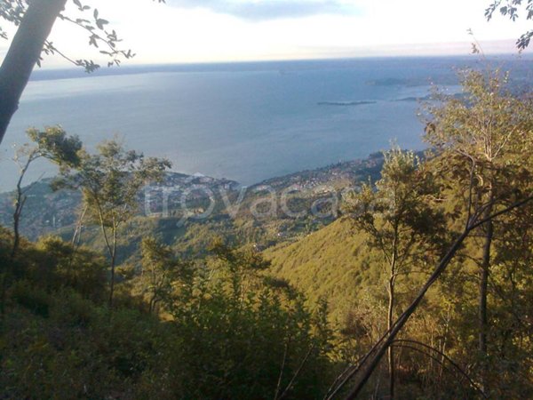 terreno agricolo in vendita a Toscolano-Maderno in zona Toscolano