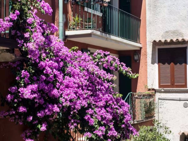 casa indipendente in vendita a Toscolano-Maderno in zona Gaino