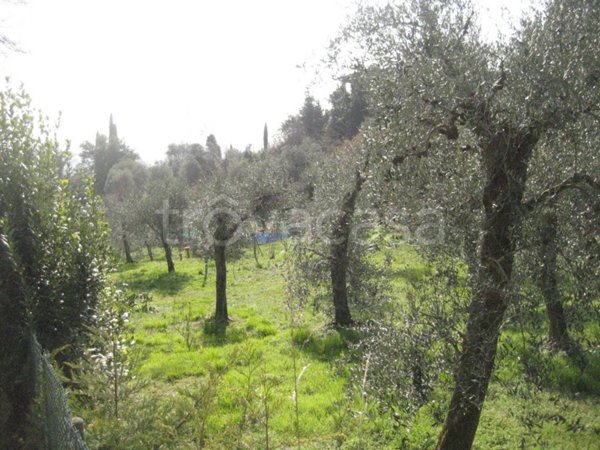 immagine annuncio 0 di 1