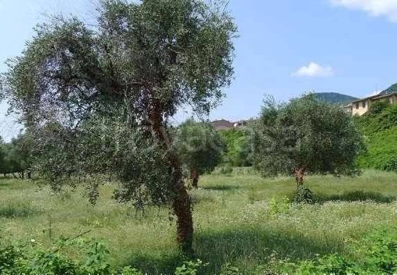 terreno agricolo in vendita a Toscolano-Maderno in zona Gaino