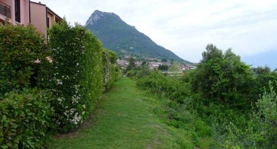 terreno agricolo in vendita a Toscolano-Maderno in zona Gaino