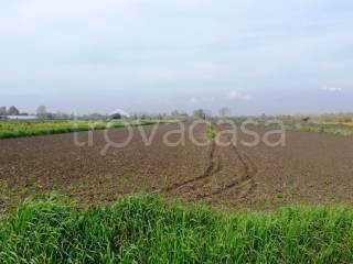 terreno agricolo in vendita a Travagliato