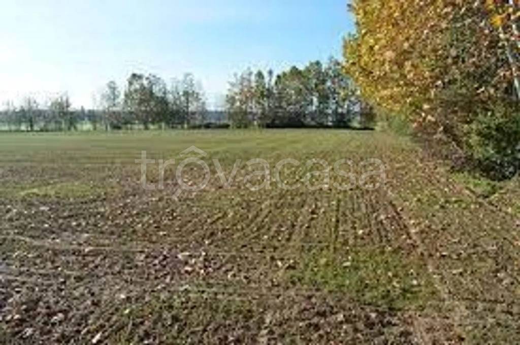 terreno agricolo in vendita a Travagliato