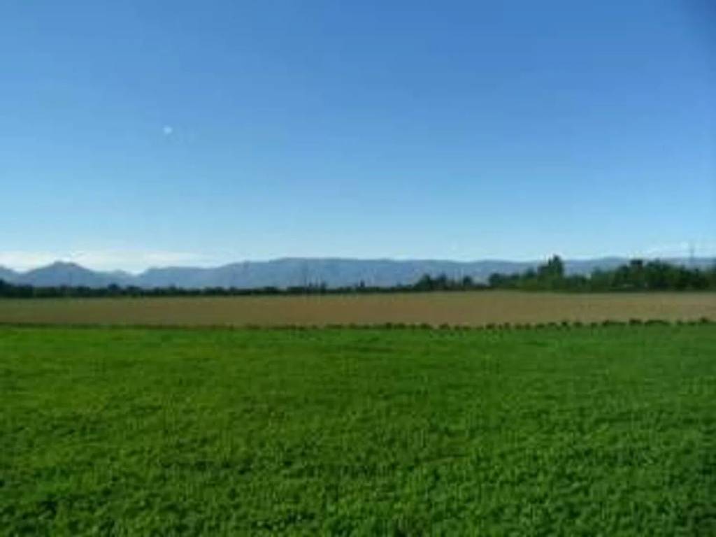 terreno agricolo in vendita a Travagliato