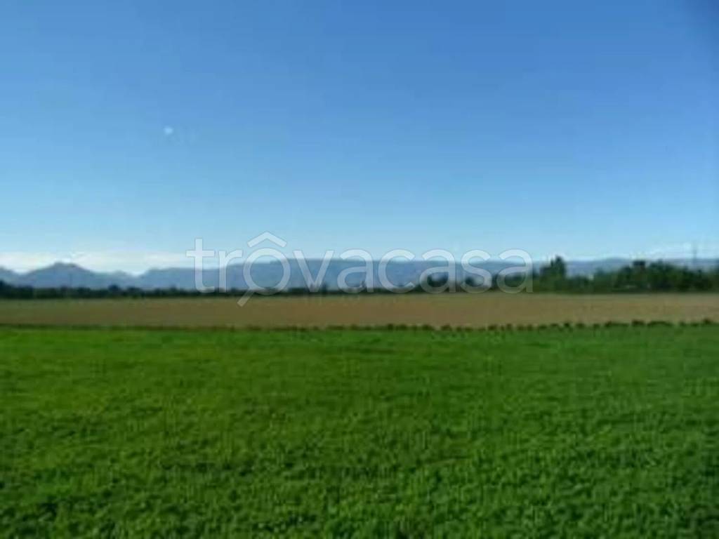 terreno agricolo in vendita a Travagliato