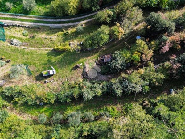 terreno edificabile in vendita a Tremosine sul Garda in zona Bassanega