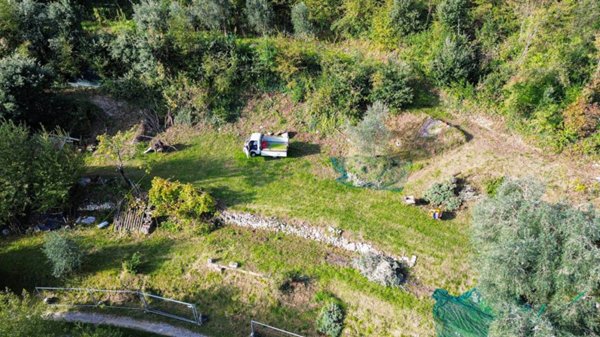 immagine annuncio 0 di 15