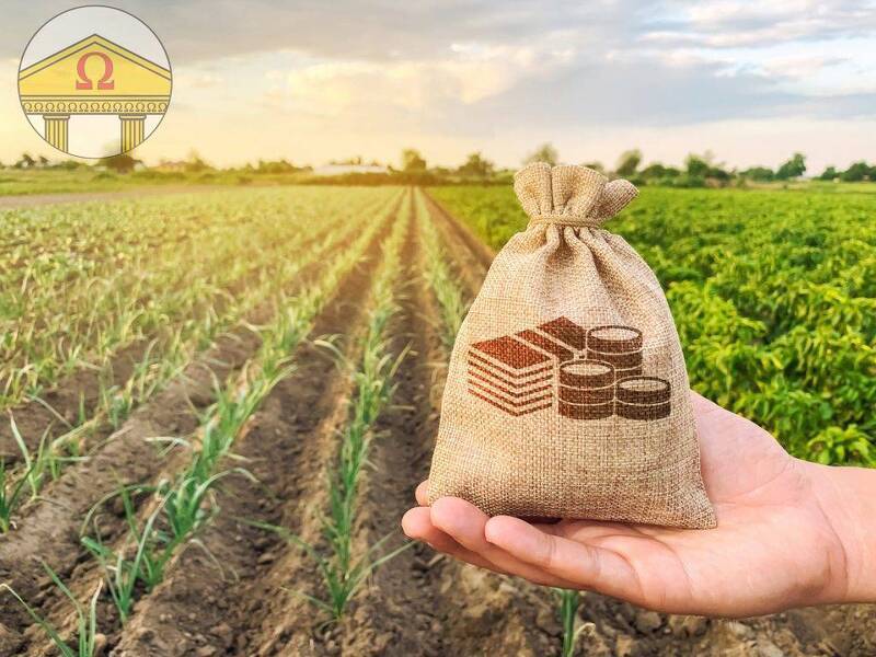 terreno agricolo in vendita a Treviso Bresciano