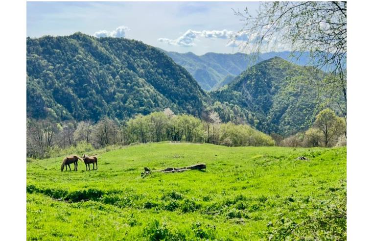 casa indipendente in vendita a Treviso Bresciano