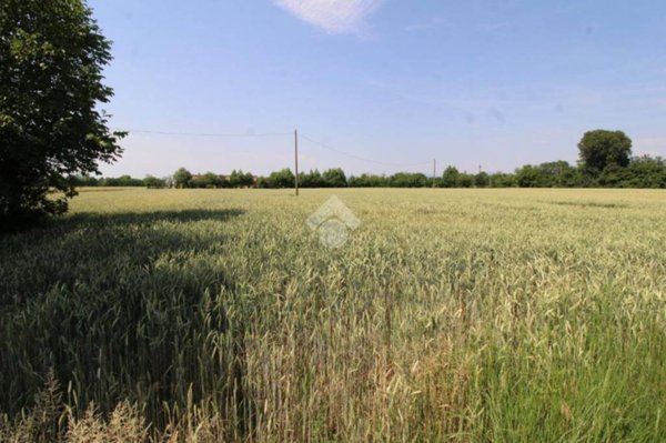 terreno agricolo in vendita ad Urago d'Oglio