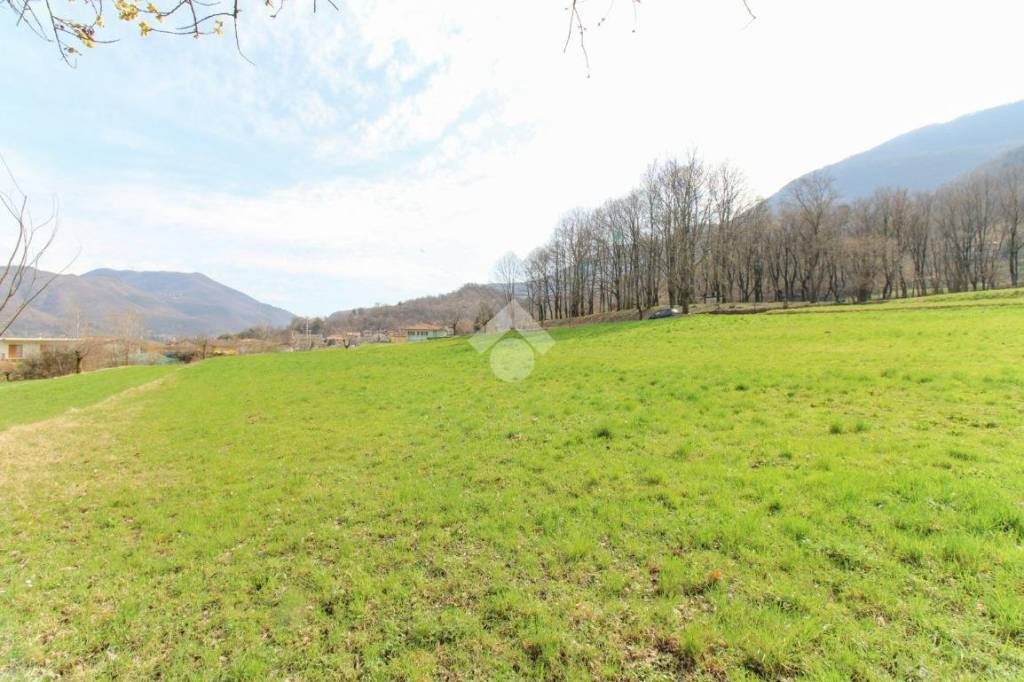 terreno agricolo in vendita a Vallio Terme