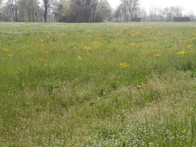 terreno edificabile in vendita a Vallio Terme