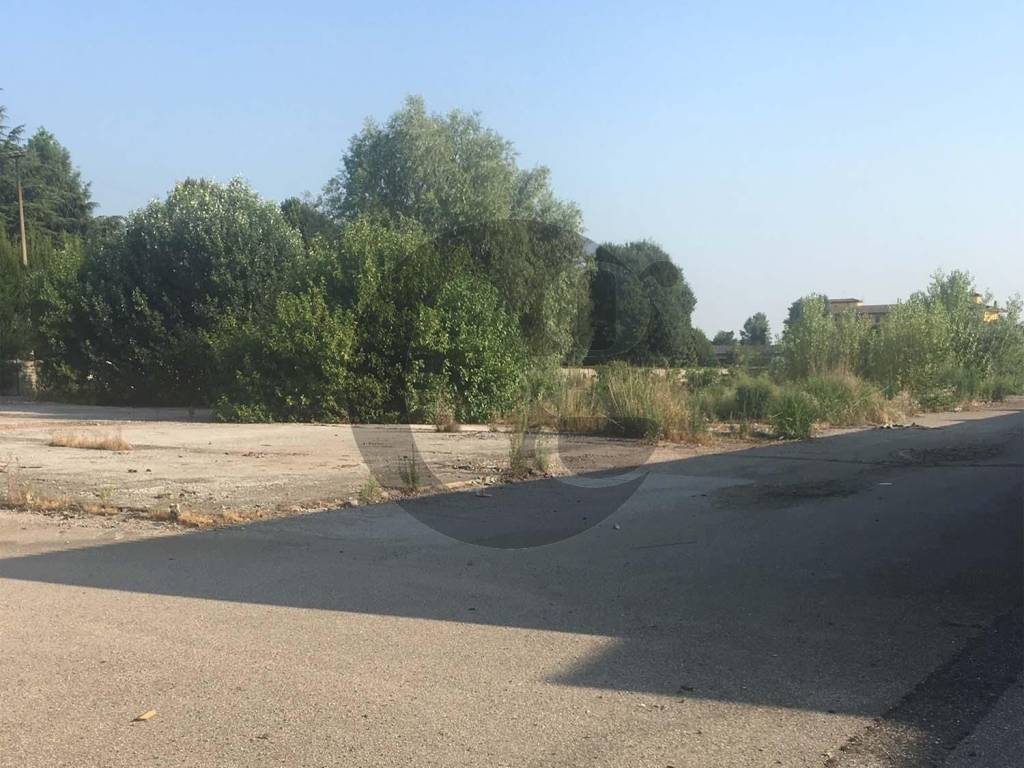 terreno agricolo in vendita a Verolanuova