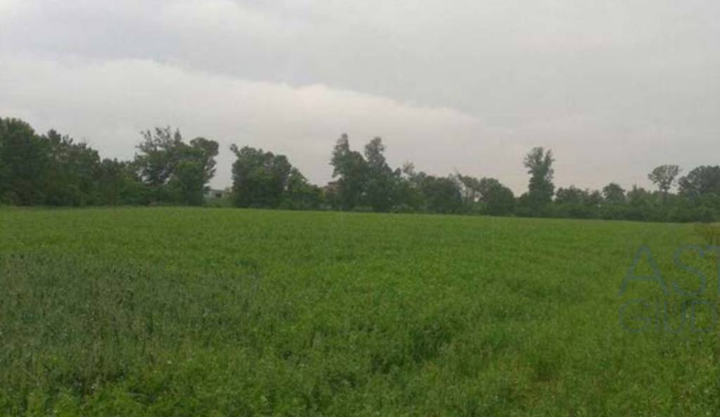 terreno agricolo in vendita a Verolanuova