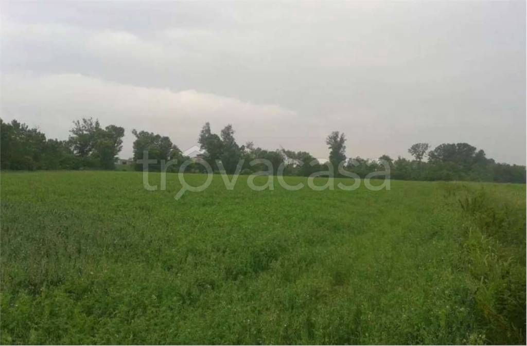 terreno agricolo in vendita a Verolanuova in zona Cadignano