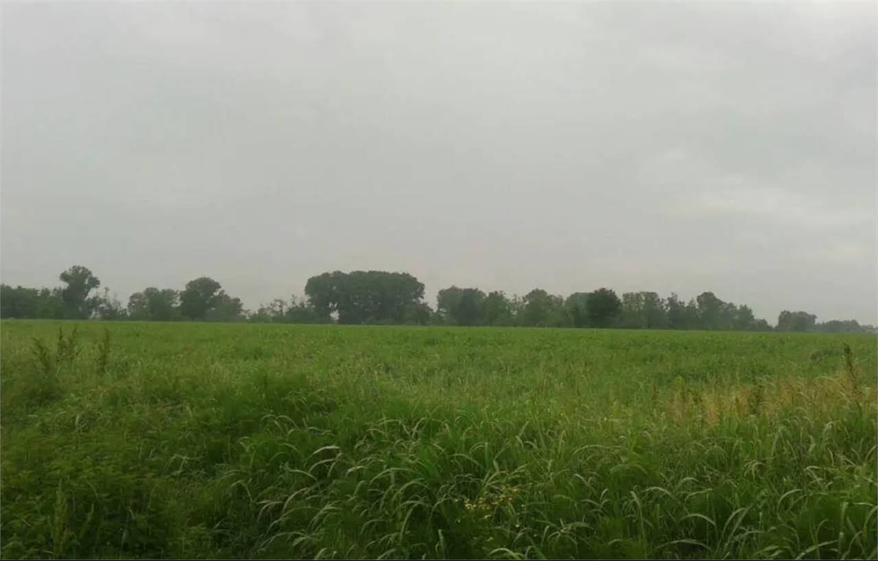 terreno agricolo in vendita a Verolanuova