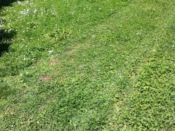 terreno edificabile in vendita a Verolanuova