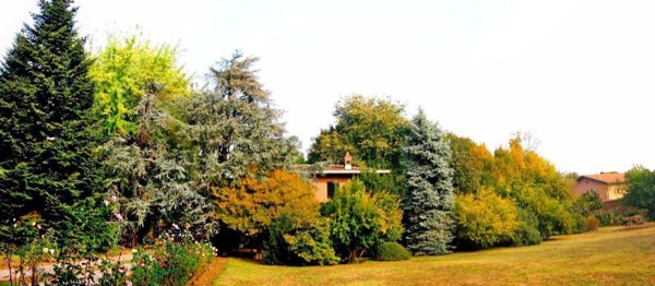 casa indipendente in vendita a Verolavecchia