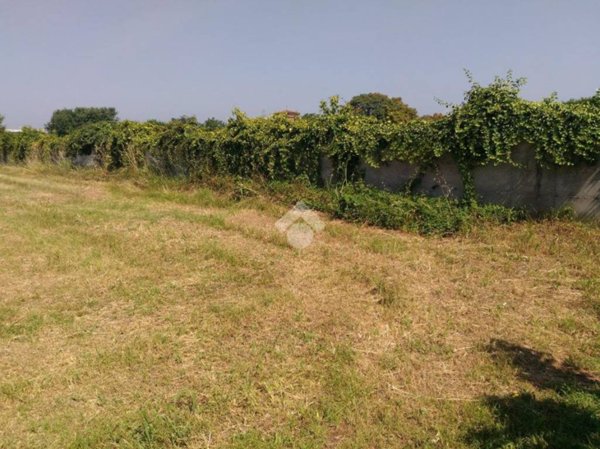 terreno agricolo in vendita a Verolavecchia