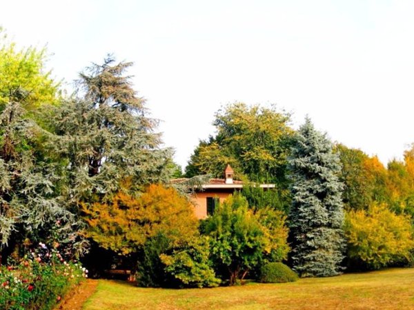 casa indipendente in vendita a Verolavecchia