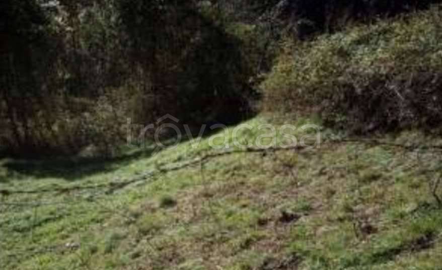 terreno agricolo in vendita a Vestone