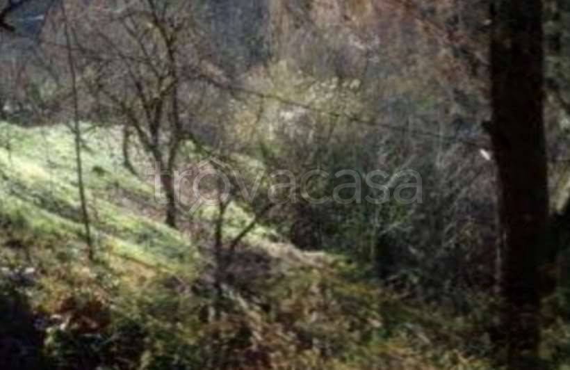 terreno agricolo in vendita a Vestone